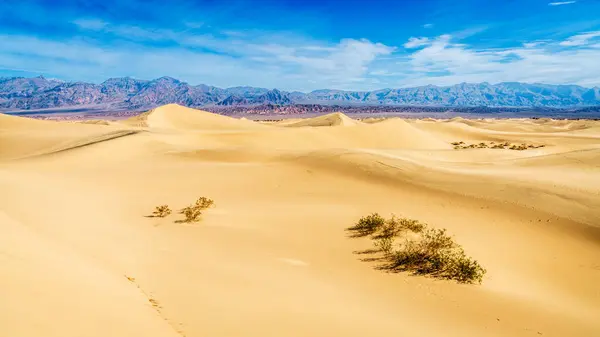 Naturskön Utsikt Över Mesquite Flat Sand Dunes Och Bergen Bakom Stockbild