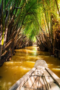 Güney Vietnam 'da Mekong Deltası' nın kanallarında seyahat ediyorum.