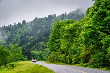 Kuzey Carolina 'da Blue Ridge Parkway' de bir araba ilerliyor. Ormandan sis yükseliyor.