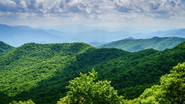 Blue Ridge Parkway 'den Kuzey Carolina Maggie Vadisi yakınlarındaki Smokie Dağları' nın manzarası