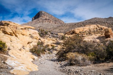 Kızıl Kanyon yürüyüş patikasından Kaplumbağa Kafası Kayası 'nın görüntüsü