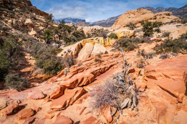 Las Vegas, Nevada yakınlarındaki Red Rock Kanyonu 'nda yürüyüş yolu.