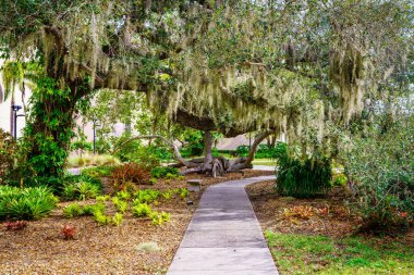 Sarasota, FL 'de bir parkta manzara yürüyüşü.