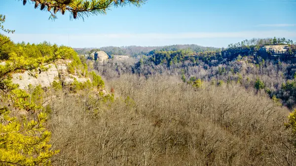 Red River Vadisi, Kentucky 'deki Auxier Ridge Yolu' ndan Kuzgunlar Kayası 'nın manzarası