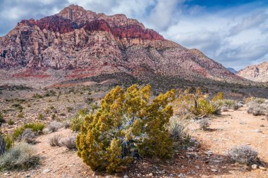 Las Vegas, Nevada 'da Kızıl Kaya Kanyonu yakınlarındaki çöl ve dağlar görünüyor.