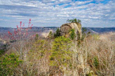 Kentucky 'deki Kızıl Nehir Boğazı jeolojik bölgesinde Adliye Sarayı Kaya oluşumunun manzarası