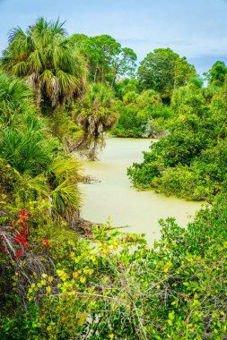 Shamrock Park 'taki sulak arazi ve Venedik, Florida' daki Doğa Merkezi