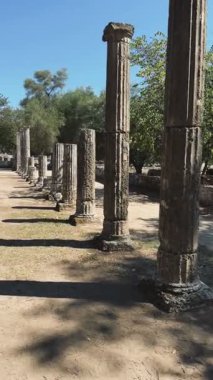 Yunanistan 'daki Antik Olimpiyat' ta spor salonu (Palaestra) sahasını gösteren dikey video klibi