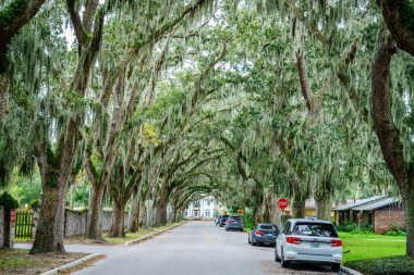 St. Augustine, Florida, 27 Aralık 2023: Güney meşe kaplı Magnolia Caddesi, St. Augustine, Florida