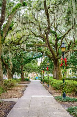 Savannah, Georgia 'nın tarihi bölgesinde Forsyth Park' ta manzaralı bir ara sokağa bakın.