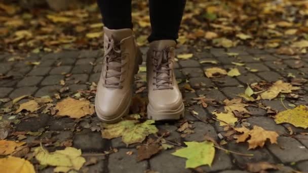 Κομψά Γυναικεία Παπούτσια Στο Πόδι Στο Δρόμο Άνεση Και Μόδα — Αρχείο Βίντεο