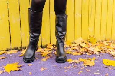 Sıcacık çizmeli bir kız arka planda düşen yapraklara poz veriyor.. 