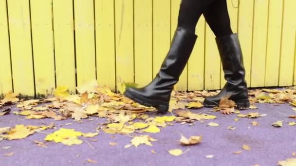 Ένα Κορίτσι Ζεστές Μπότες Ποζάρει Φόντο Ένα Πεσμένο Φύλλωμα — Αρχείο Βίντεο