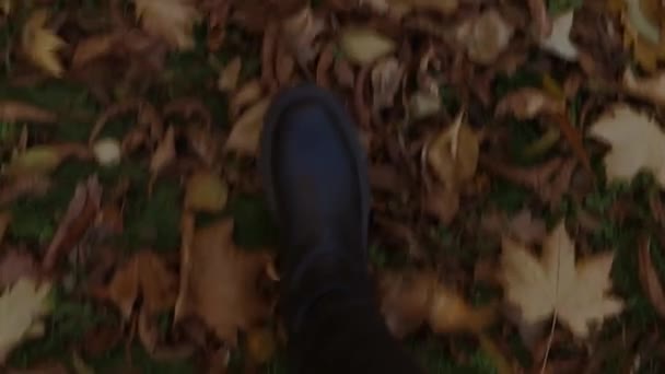 黒いブーツを着たスローモーションの女性の足は歩道の黄色の紅葉の上を歩く 黄金の落ち葉を踏んで暗い靴 コピースペース — ストック動画