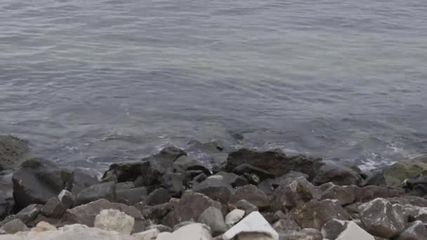 Den Vackra Kusten Staden Varna Bulgarien Havet Slår Mot Stenarna — Stockvideo