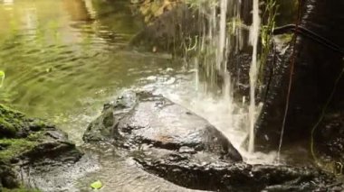 Dağlarda Su Fall Brook, Ormanda Yaz Yağmuru Günü, Orman Nehri Manzarası. 