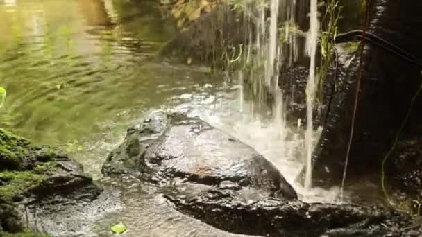 Watervallen Beek Bergen Zomer Regendag Het Bos Uitzicht Rivier — Stockvideo