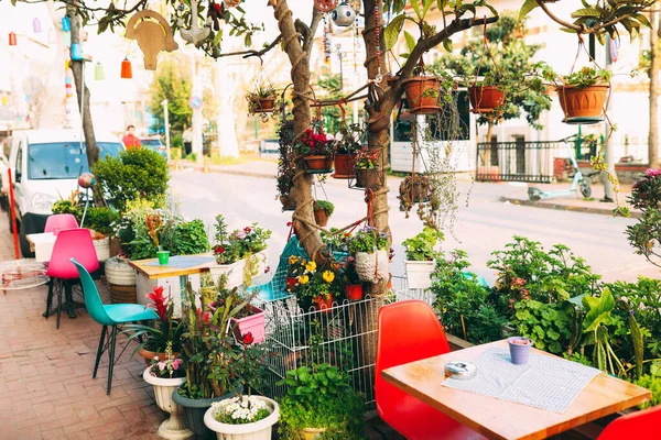 시가지의 식당이요 카페는 꽃으로 장식되어 카페에 테이블에 — 스톡 사진