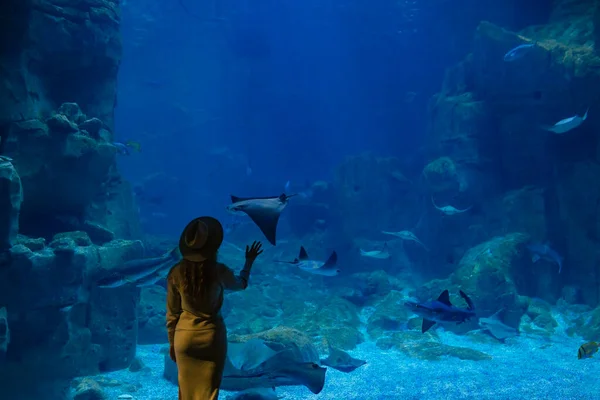 Uma Jovem Toca Num Peixe Raivoso Num Túnel Oceânico — Fotografia de Stock