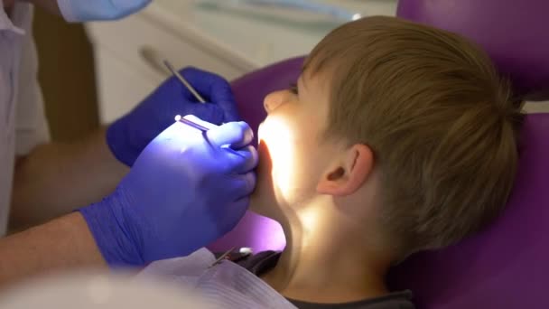 Ένας Οδοντίατρος Εξετάζει Στόμα Του Μωρού Υψηλής Ποιότητας Πλάνα — Αρχείο Βίντεο