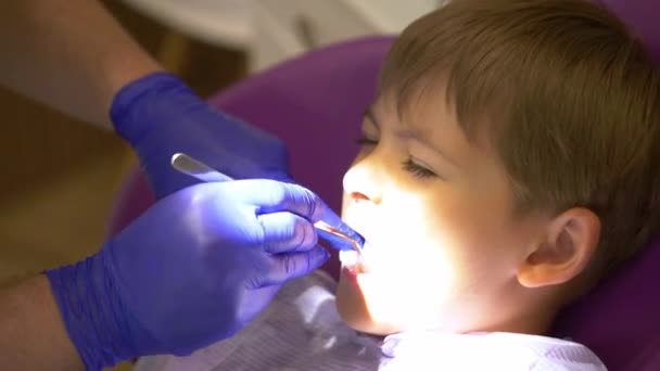 Dentista Examinar Boca Dos Bebés Imagens Alta Qualidade — Vídeo de Stock