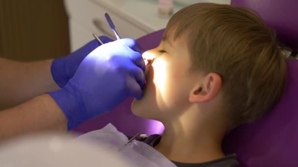 Tandläkare Undersöker Babys Mun Högkvalitativ Film — Stockvideo