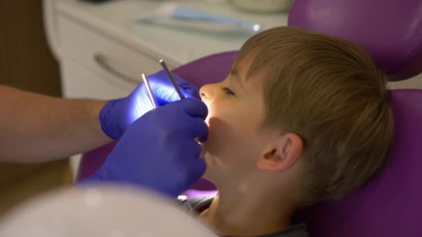 Ένας Οδοντίατρος Εξετάζει Στόμα Του Μωρού Υψηλής Ποιότητας Πλάνα — Αρχείο Βίντεο