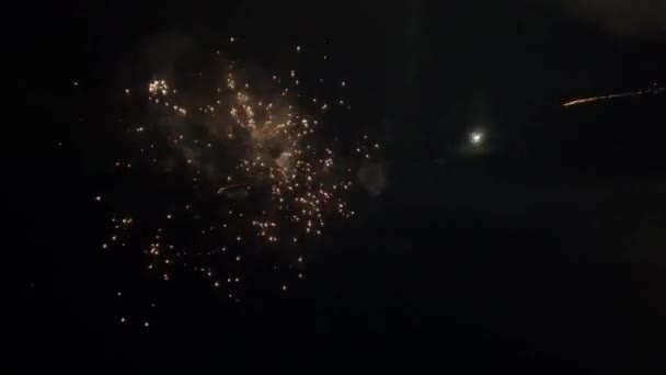 Vertical Video Fireworks Night Sky Slow Motion — Stock Video