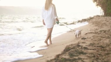Güzel genç bir kadın, okyanus sahilinde yürürken Jack Russell teriyer köpeğiyle yürüyor ve oynuyor. Aktif yaşam tarzı, hayvan bakımı. 
