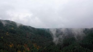 Sisli bir sabahta güzel sonbahar ağaçlarının hava manzarası. Dağlardaki bir ormanın üzerinde sisli bulutlar uçuşuyor.. 