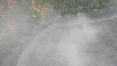 Sarı ve turuncu sonbahar ormanlarında siyah arabalı kırsal yol manzarası. 