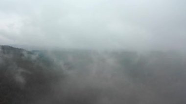 Sisli bir sabahta güzel sonbahar ağaçlarının hava manzarası. Dağlardaki bir ormanın üzerinde sisli bulutlar uçuşuyor.. 