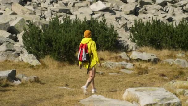 Возбужденная Женщина Прогуливающаяся Природе Активная Девушка Наслаждается Отпуском Лесистых Горах — стоковое видео