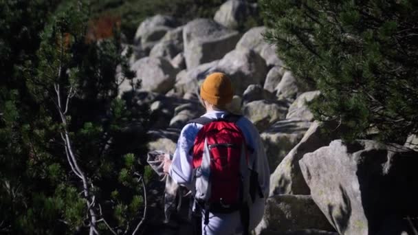 Возбужденная Женщина Прогуливающаяся Природе Активная Девушка Наслаждается Отпуском Лесистых Горах — стоковое видео