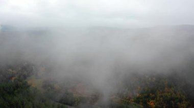 Sisli bir sabahta güzel sonbahar ağaçlarının hava manzarası. Dağlardaki bir ormanın üzerinde sisli bulutlar uçuşuyor.. 