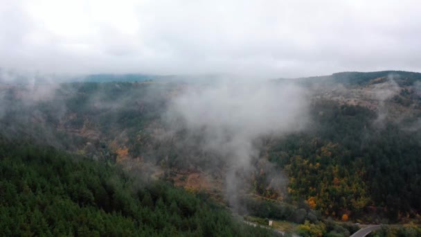 Légi Kilátás Gyönyörű Őszi Fák Egy Ködös Reggel Ködös Felhők — Stock videók