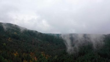 Sisli bir sabahta güzel sonbahar ağaçlarının hava manzarası. Dağlardaki bir ormanın üzerinde sisli bulutlar uçuşuyor.. 