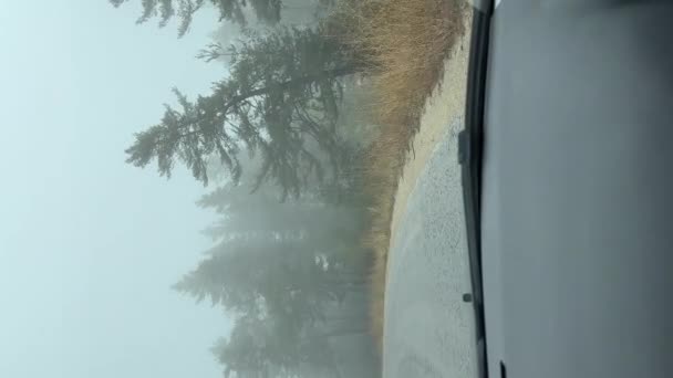 Conducir Coche Sinuoso Camino Forestal Día Niebla Vista Desde Coche — Vídeos de Stock
