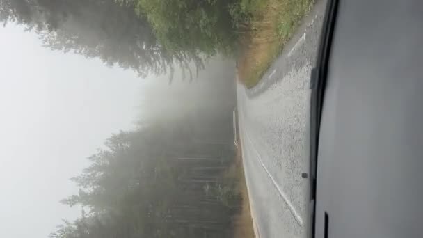 Autót Vezetni Egy Kanyargós Erdei Úton Egy Ködös Napon Kilátás — Stock videók