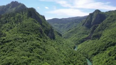 Kuzey Karadağ 'daki Tara Nehri' nin derin kanyon ve orman dağının havadan görünüşü