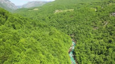 Kuzey Karadağ 'daki Tara Nehri' nin derin kanyon ve orman dağının havadan görünüşü