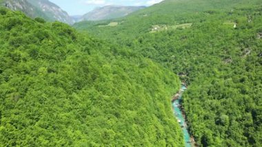 Kuzey Karadağ 'daki Tara Nehri' nin derin kanyon ve orman dağının havadan görünüşü