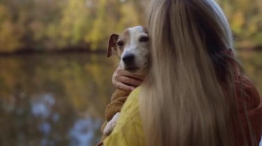 Mutlu sonbaharlar. Köpek yavrusu Jack Russell güzel bir sonbahar ormanında yürüyüşe çıkıyor.
