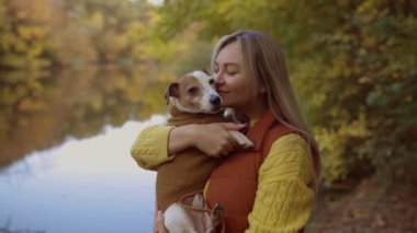 Mutlu sonbaharlar. Köpek yavrusu Jack Russell güzel bir sonbahar ormanında yürüyüşe çıkıyor.