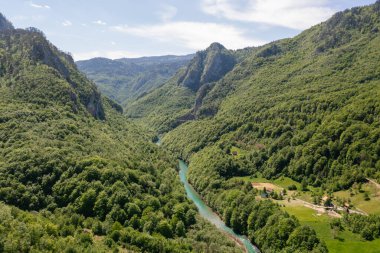 Kuzey Karadağ 'daki Tara Nehri' nin derin kanyon ve orman dağının havadan görünüşü