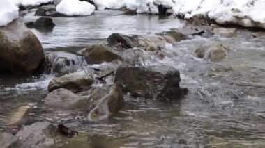 Buzlar çözülsün. Erken bahar karı eritir ve su bir dağ nehri ve akarsu yaratır. ekoloji ve doğa koruması. 