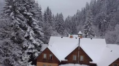 Dağlardaki bir çam ormanının içindeki çatı katının havadan görünüşü. Sisli hava ve kar yağışıweather condition. 