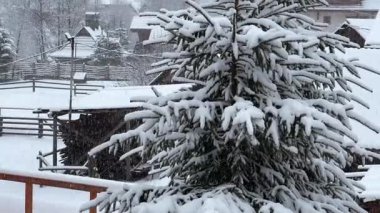 Bir evin arka bahçesindeki yalnız bir ladin ağacına kar taneleri düşer. Karların altında Noel ağacı. 
