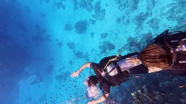 Mercan resiflerinde mercanlar arasında yüzen bir grup dalgıç. Dalış eğitmeni ve grup öğrencileri sualtı egzersizinde. Eğitmen öğrencilere öğretiyor. Sualtı tüple dalış eğitimi ve eğitimi
