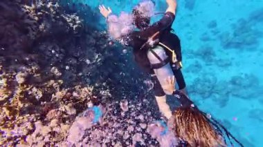 Mercan resiflerinde mercanlar arasında yüzen bir grup dalgıç. Dalış eğitmeni ve grup öğrencileri sualtı egzersizinde. Eğitmen öğrencilere öğretiyor. Sualtı tüple dalış eğitimi ve eğitimi